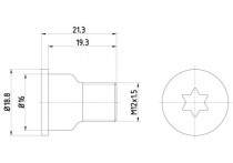 Schroef, remschijf 2 stuks