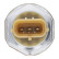 Sensor, bränsletryck, miniatyr 2