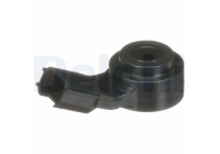 Knacksensor AS10172 Delphi