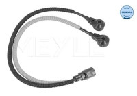 Knacksensor