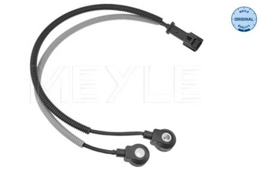 Knacksensor