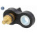 Sensor, oljetemperatur, miniatyr 6