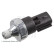 Oljetryckskontakt ADA106602 Blue Print, miniatyr 3