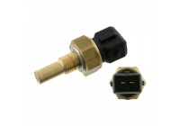 Sensor, oljetemperatur 28334 FEBI