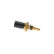 Sensor, kylvätsketemperatur F 01R 064 905 Bosch, miniatyr 3