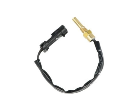 Sensor, kylvätsketemperatur, bild 3