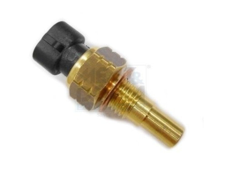Sensor, oljetemperatur