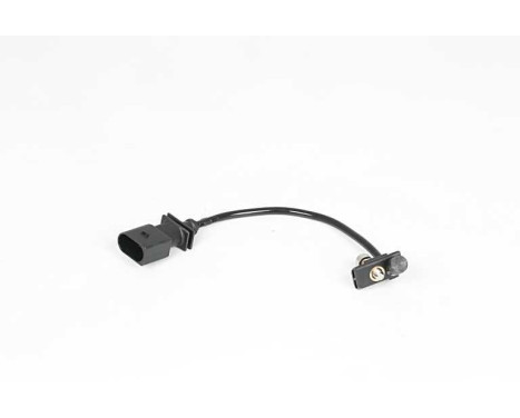 Vevaxelsensor, bild 2