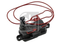 Elemento del conjunto