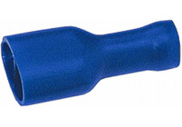 Correa de paquete