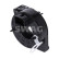 Anillo colector