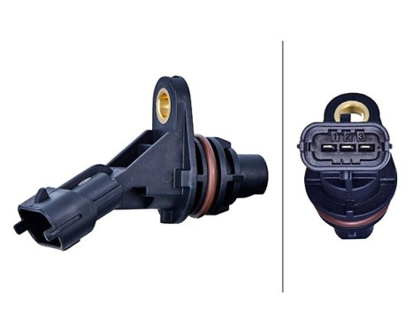 SENSOR DEL Ã?RBOL DE LEVAS 6PU 6PU 009 168-491 Hella