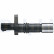 Sensor del cigüeñal SS11268 Delphi, Miniatura 5