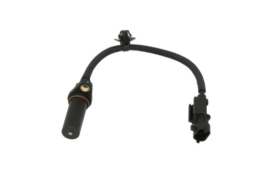 Sensor del cigüeñal SS11307 Delphi