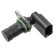 Sensor del cigüeñal