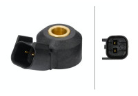 Sensor de detonación 6PG 009 108-821 Hella