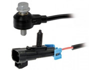 Sensor de detonación 6PG 013 114-041 Hella