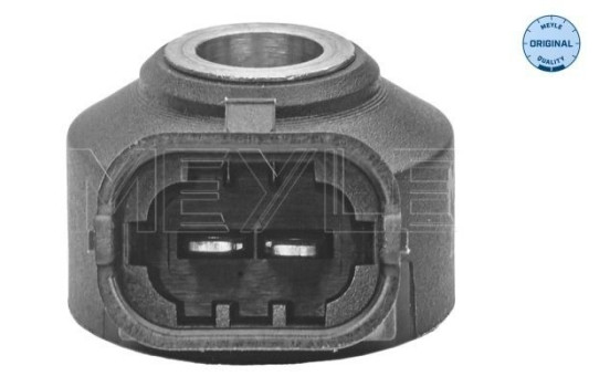 Sensor de detonación, Imagen 2