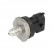Sensor de presión de combustible DS-HD-KV4.2 Bosch, Miniatura 4