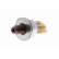 Sensor de presión de combustible, Miniatura 6