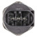 Sensor de presión de combustible, Miniatura 2
