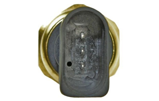 Sensor de presión de combustible, Imagen 2