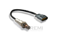 Sensor Lambda