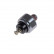 Sensor de presión de aceite ADT36602 Blue Print
