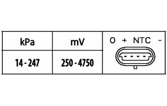 Sensor MAP