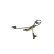 Sensor de RPM