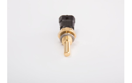Sensor de temperatura del combustible TF-W Bosch, Imagen 11