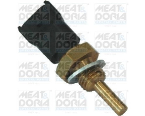 Sensor de temperatura del refrigerante