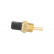 Sensor de temperatura del aceite, Miniatura 3