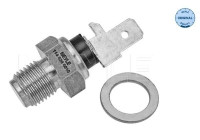Sensor de temperatura del aceite