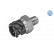 Sensor de temperatura del aceite