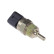 Sensor de temperatura del refrigerante ADG07261 Blue Print
