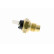 Sensor de temperatura del refrigerante, Miniatura 9