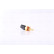 Sensor de temperatura ** PRIMER AJUSTE **, Miniatura 5