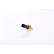 Sensor de temperatura ** PRIMER AJUSTE **, Miniatura 2