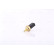 Sensor de temperatura ** PRIMER AJUSTE **, Miniatura 4