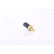 Sensor de temperatura ** PRIMER AJUSTE **, Miniatura 5