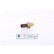 Sensor de temperatura ** PRIMER AJUSTE **