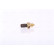 Sensor de temperatura ** PRIMER AJUSTE **, Miniatura 2