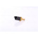 Sensor de temperatura ** PRIMER AJUSTE **, Miniatura 2