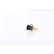 Sensor de temperatura ** PRIMER AJUSTE **, Miniatura 2