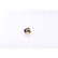Sensor de temperatura ** PRIMER AJUSTE **, Miniatura 3