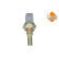 Sensor de temperatura, Miniatura 3