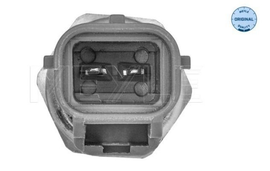 Sensor de temperatura, Imagen 2
