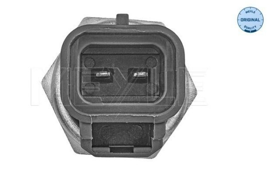 Sensor de temperatura, Imagen 2
