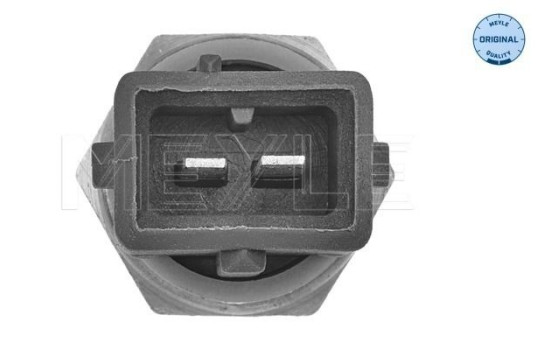 Sensor de temperatura, Imagen 2